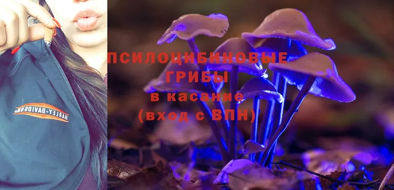 Галлюциногенные грибы Magic Shrooms  darknet состав  Геленджик  купить  цена 